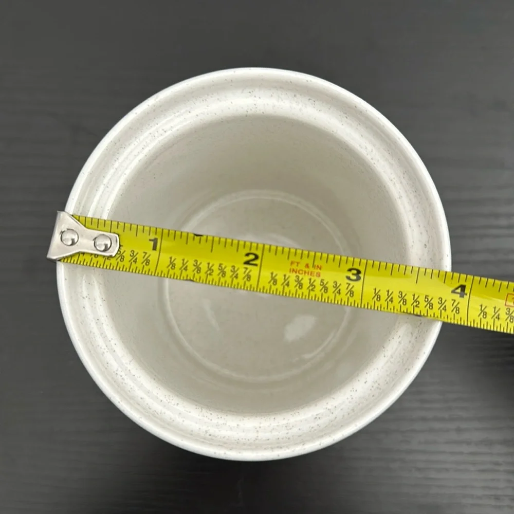 Studio Nova Small Palm Desert 5.25” Canister & Lid